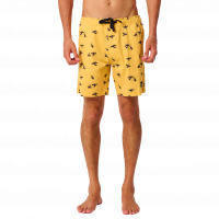 26CSBS129SFL28_0.png