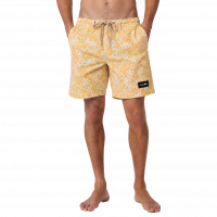 26CSBS125SFL28_3.png
